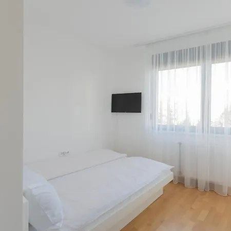 Kame Novi Sad