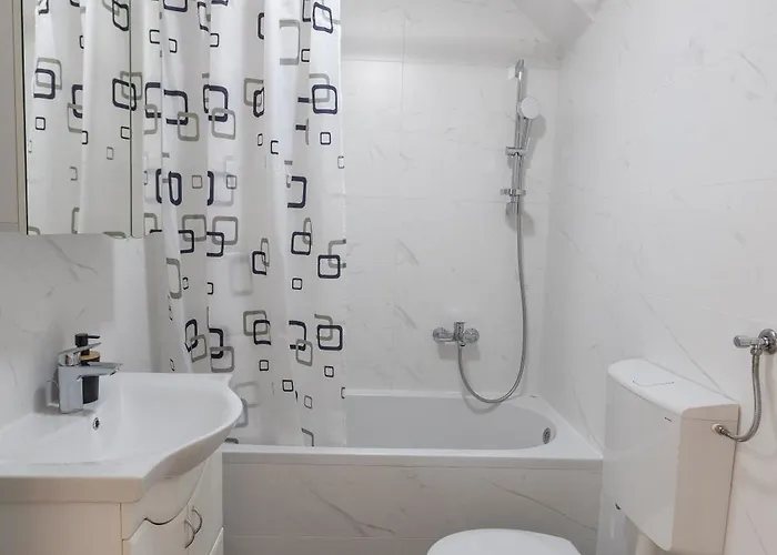 Kame 亀 노비사드