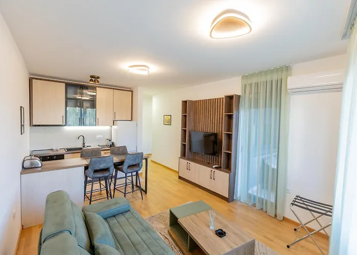 Kame 亀 노비사드