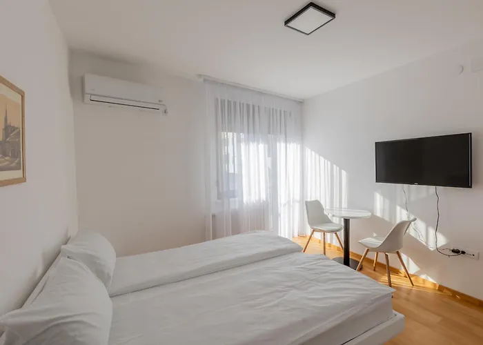 Kame 亀 노비사드