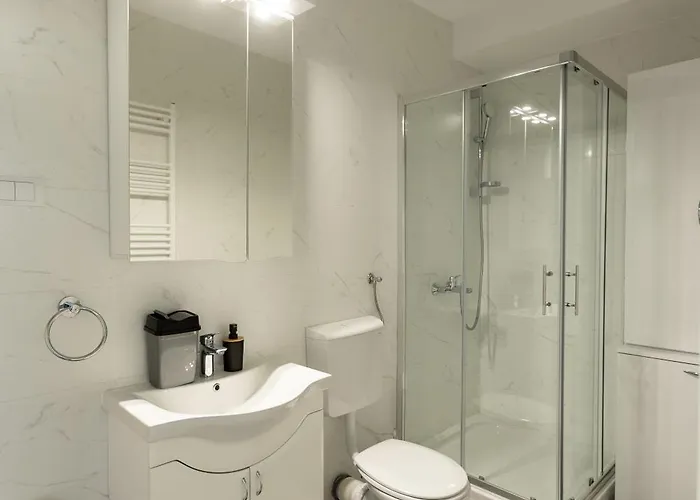 Kame 亀 노비사드