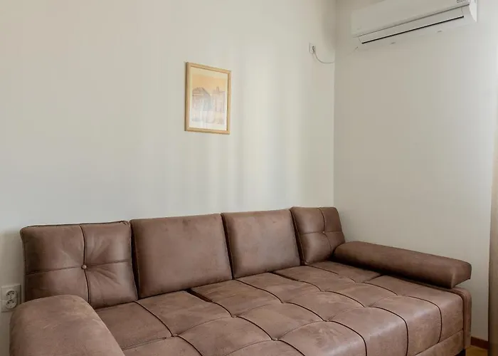 Kame 亀 * 노비사드