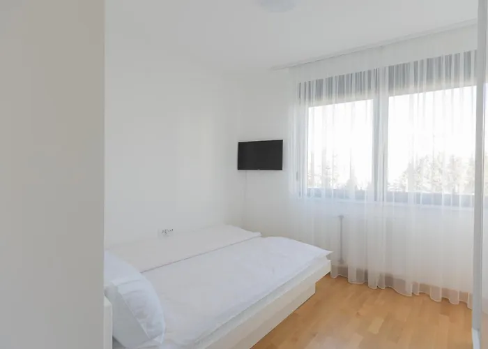 Kame 亀 노비사드