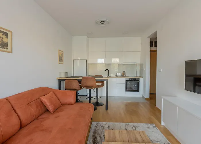 Kame 亀 * 노비사드